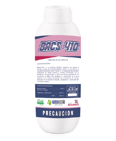 bacs410-373x450.jpg