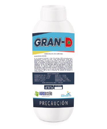 gran-d-373x450.jpg