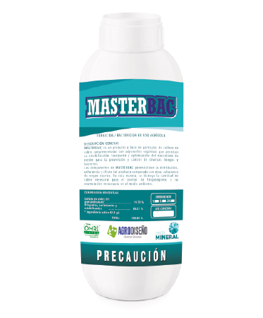 masterbac-373x450.jpg