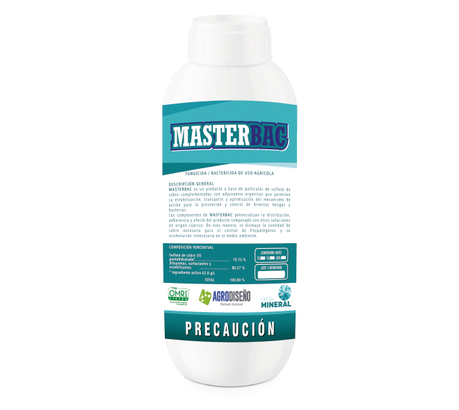 masterbac-660x590.jpg