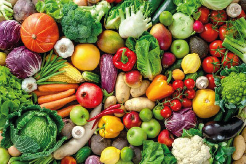 nutricionvegetal-inicio.jpg