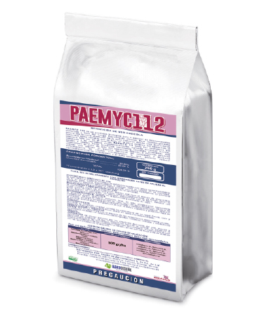 paemyc112-373x450.jpg