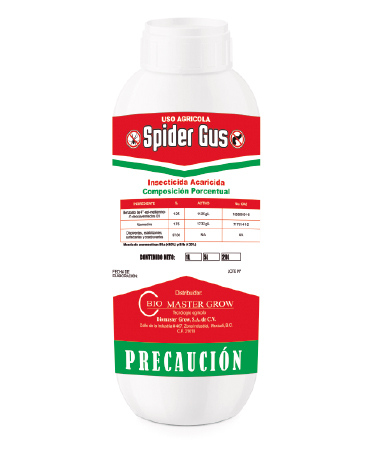 spidergus-373x450.jpg