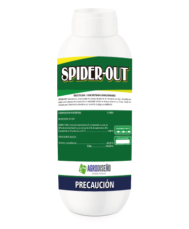spider-out-373x450.jpg