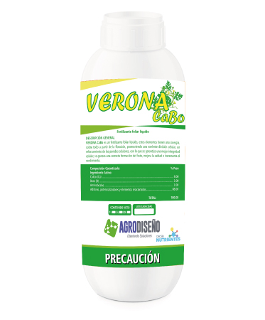 veronacabo-373-450.jpg